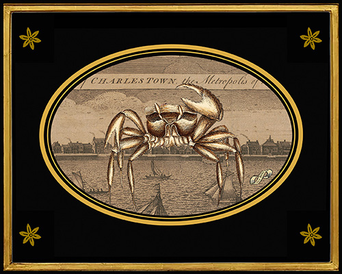 Charleston the Metropolis